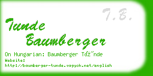 tunde baumberger business card